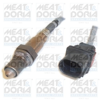 Oxygen Sensor